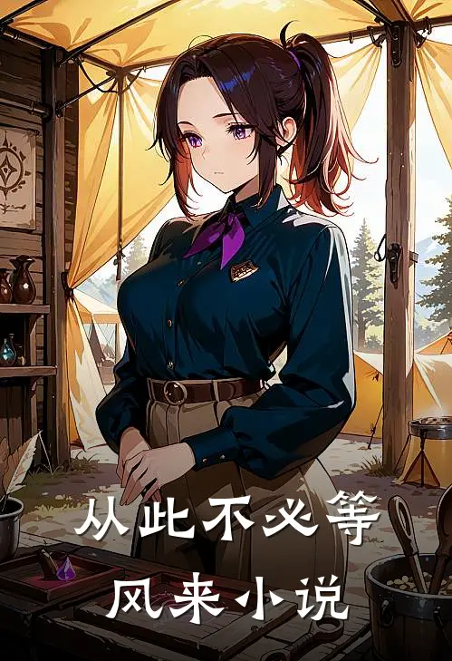 从此不必等风来小说