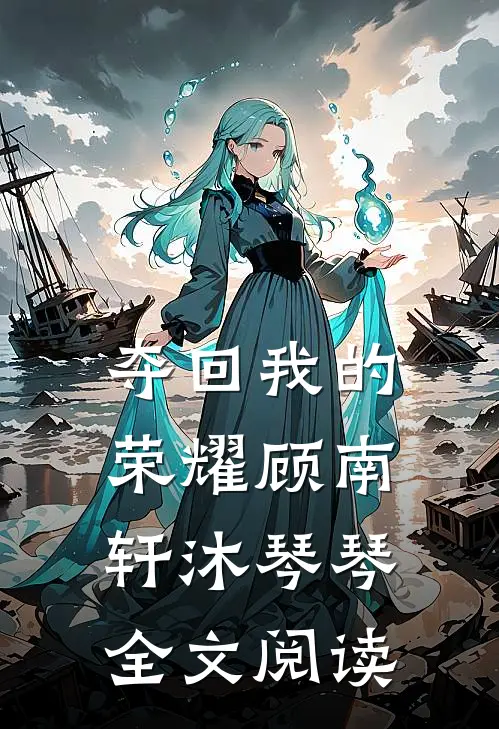 夺回我的荣耀顾南轩沐琴琴全文阅读