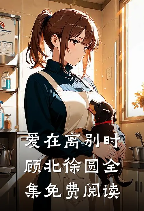 爱在离别时顾北徐圆 全集免费阅读