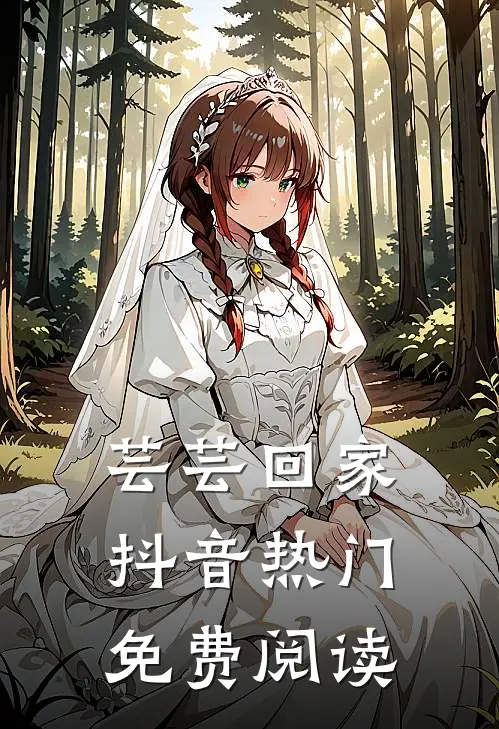 芸芸回家抖音热门免费阅读