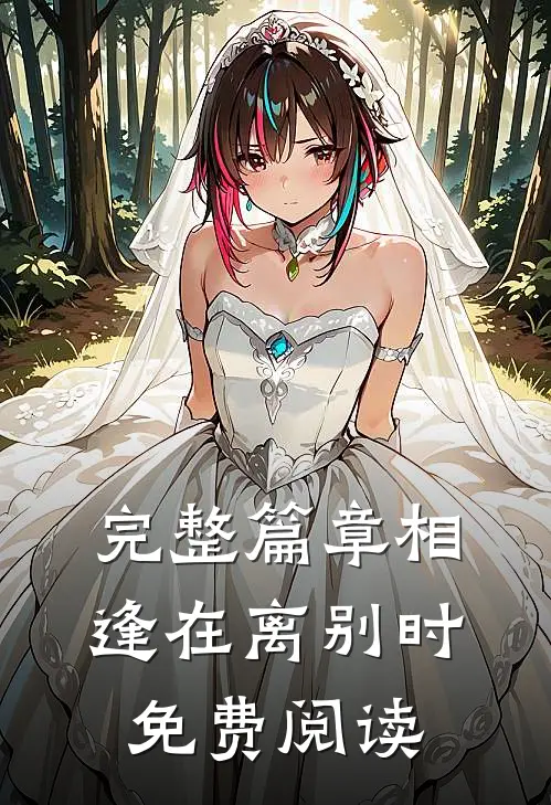 完整篇章相逢在离别时免费阅读