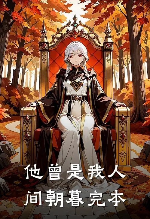 他曾是我人间朝暮完本