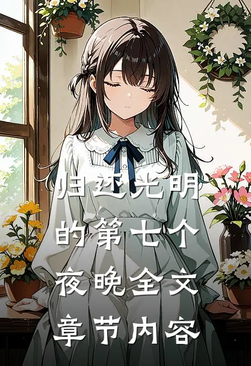 归还光明的第七个夜晚全文章节内容