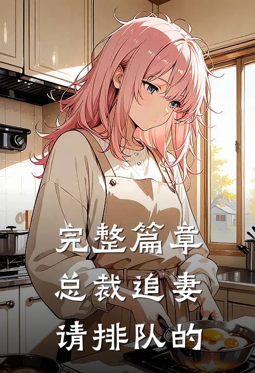 完整篇章总裁追妻请排队的