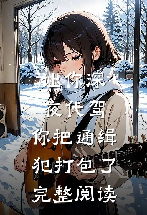 让你深夜代驾，你把通缉犯打包了完整阅读