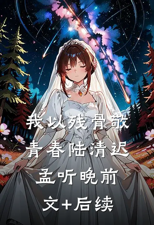 我以残骨敬青春陆清迟孟听晚前文+后续