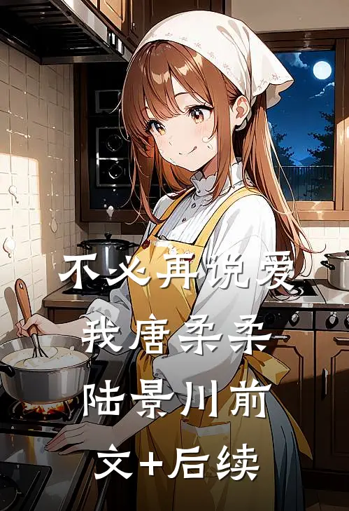 不必再说爱我唐柔柔陆景川前文+后续