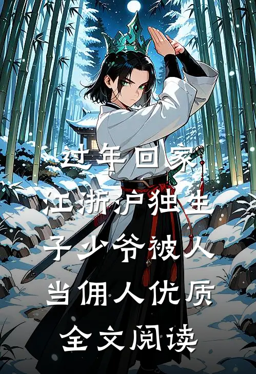 过年回家，江浙沪独生子少爷被人当佣人优质全文阅读