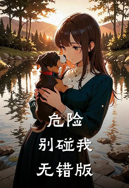 危险，别碰我无错版