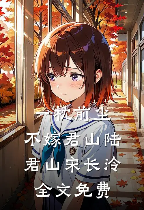 一枕前尘，不嫁君山陆君山宋长泠全文免费