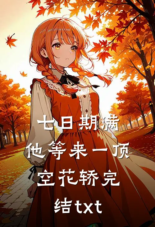 七日期满，他等来一顶空花轿完结txt
