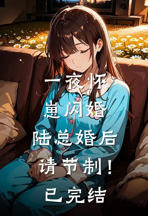 一夜怀崽闪婚，陆总婚后请节制！已完结