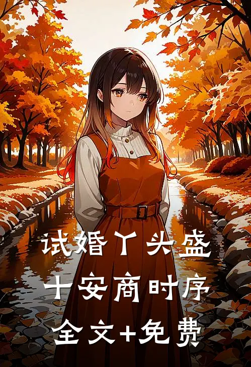 试婚丫头盛十安商时序全文+免费