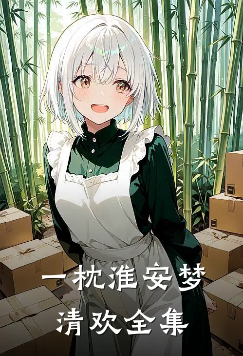 一枕淮安梦清欢全集