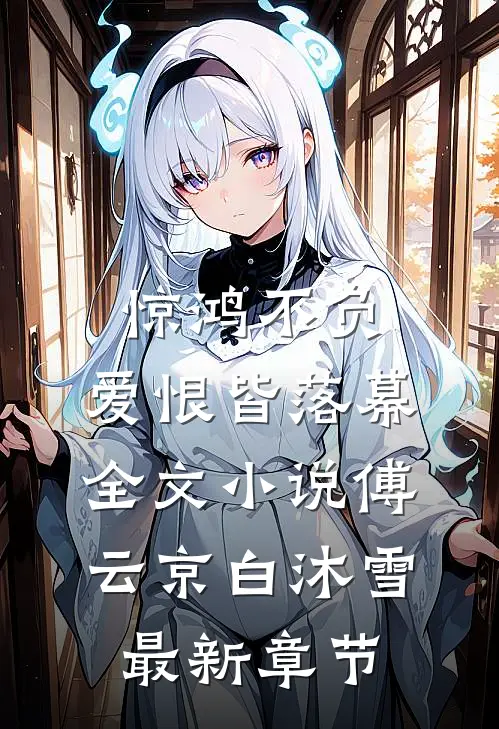 惊鸿不负，爱恨皆落幕全文小说傅云京白沐雪最新章节