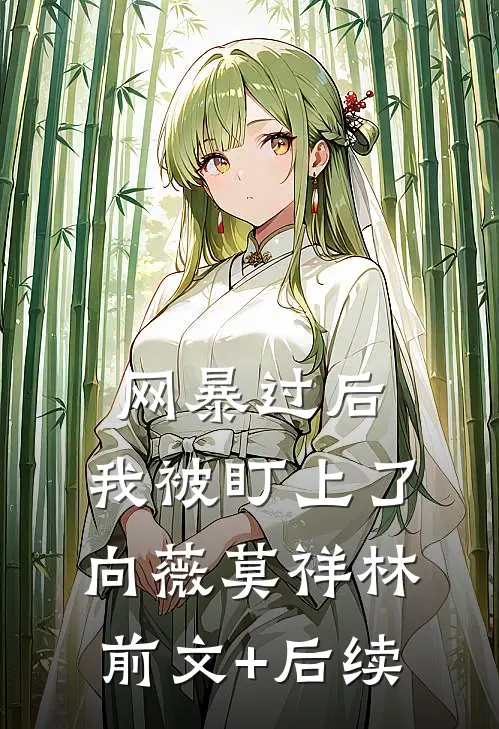 网暴过后：我被盯上了向薇莫祥林前文+后续