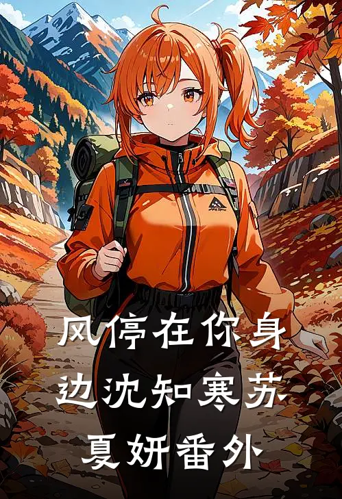 风停在你身边沈知寒苏夏妍番外