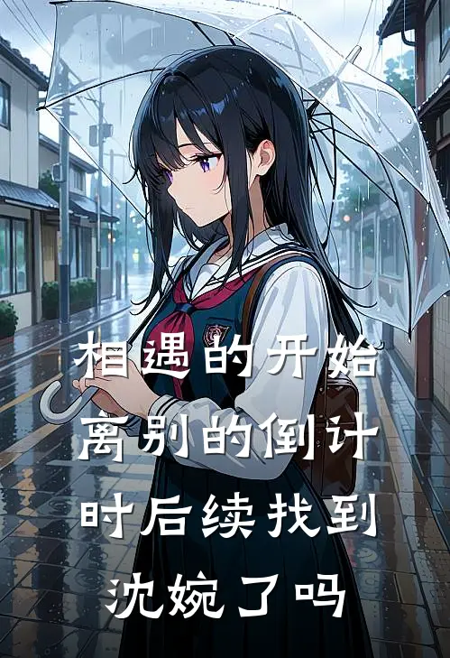 相遇的开始，离别的倒计时后续找到沈婉了吗