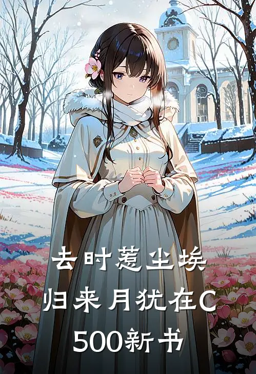 去时惹尘埃，归来月犹在C500新书