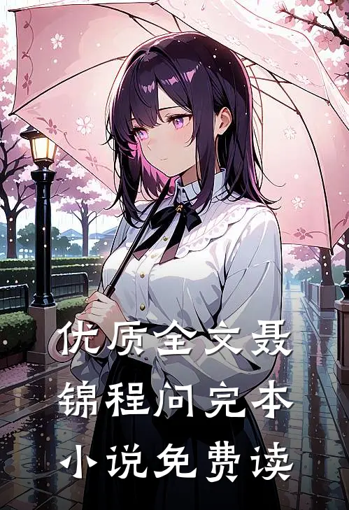 优质全文聂锦程问完本小说免费读