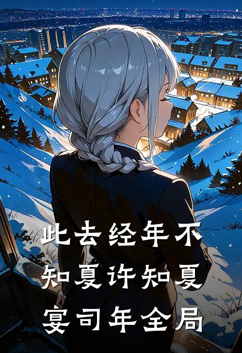 此去经年不知夏许知夏宴司年全局