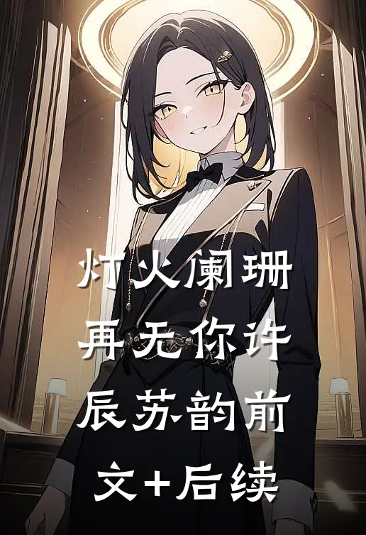 灯火阑珊再无你许辰苏韵前文+后续