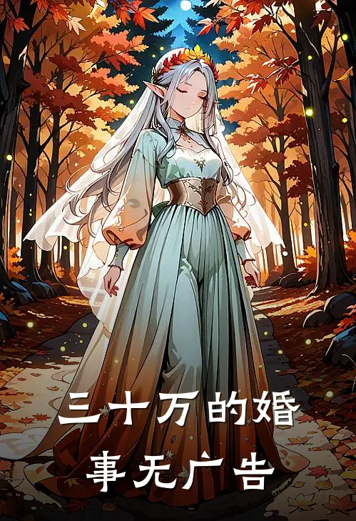 三十万的婚事无广告
