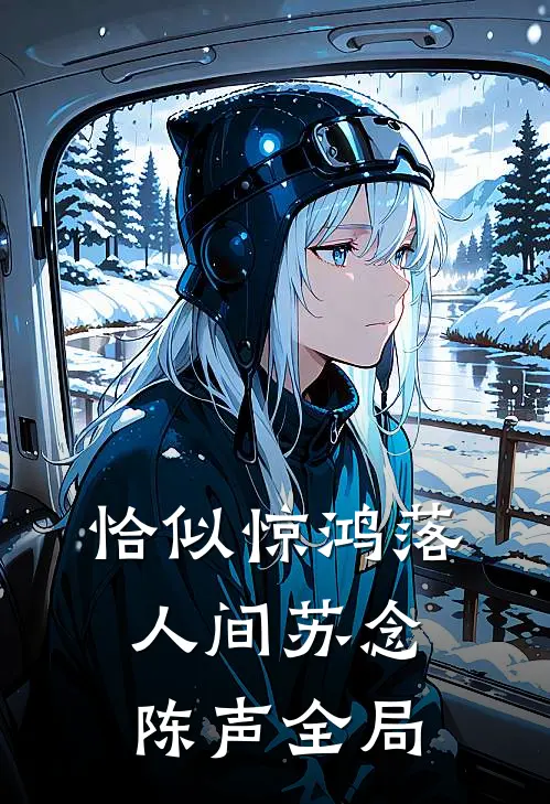 恰似惊鸿落人间苏念陈声全局