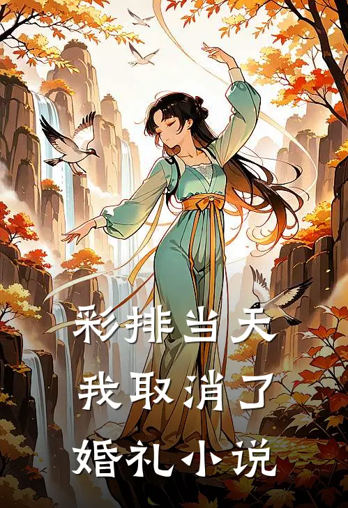 彩排当天，我取消了婚礼小说