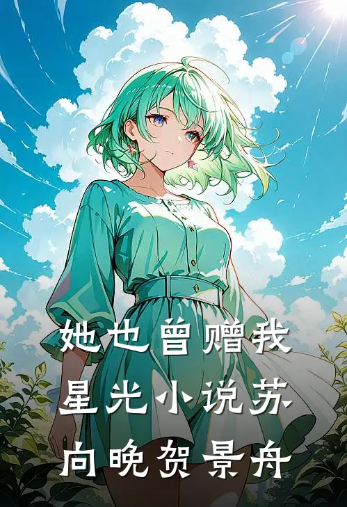她也曾赠我星光小说苏向晚贺景舟