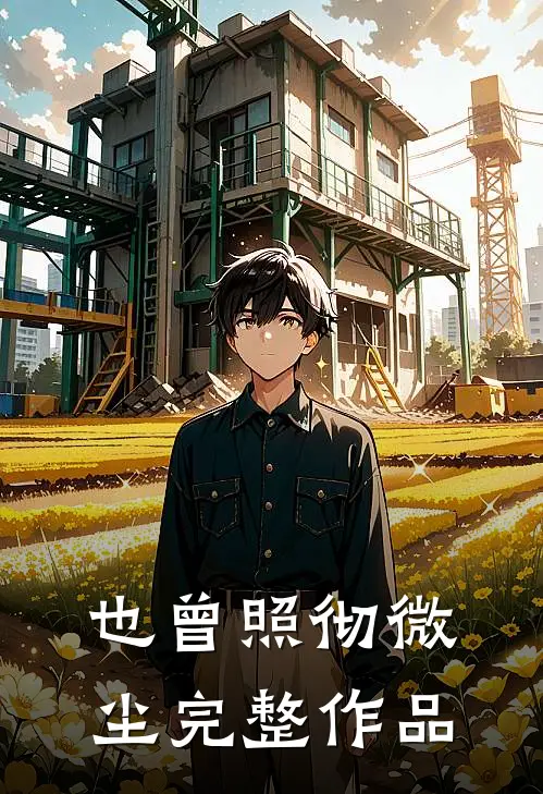 也曾照彻微尘完整作品