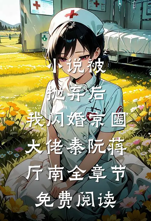 小说被抛弃后，我闪婚京圈大佬秦阮蒋厅南全章节免费阅读