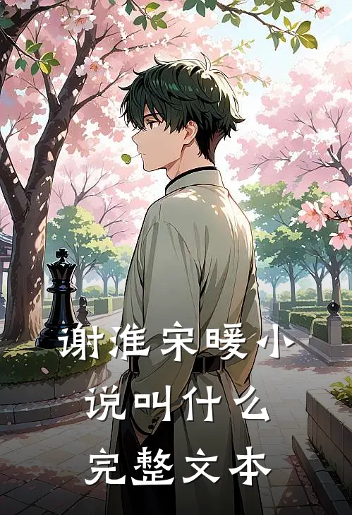 谢淮宋暖小说叫什么完整文本