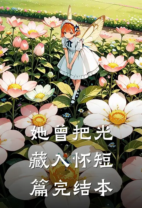 她曾把光藏入怀短篇完结本
