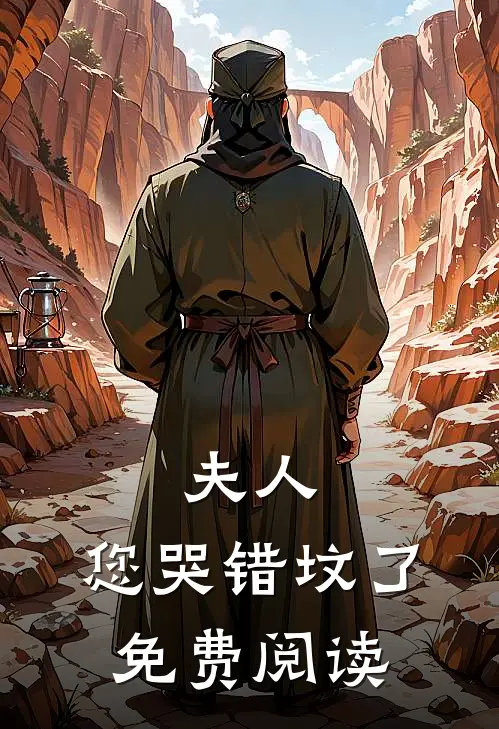 夫人,您哭错坟了免费阅读