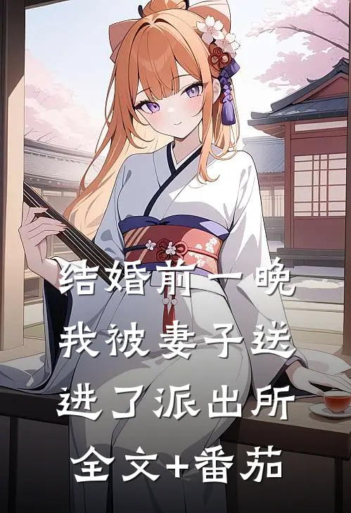 结婚前一晚我被妻子送进了派出所全文+番茄