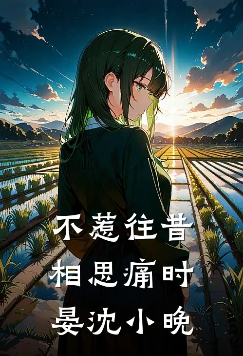 不惹往昔相思痛时晏沈小晚