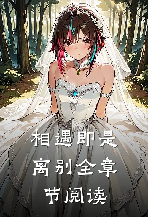相遇即是离别全章节阅读
