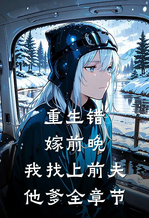 重生错嫁前晚，我找上前夫他爹全章节
