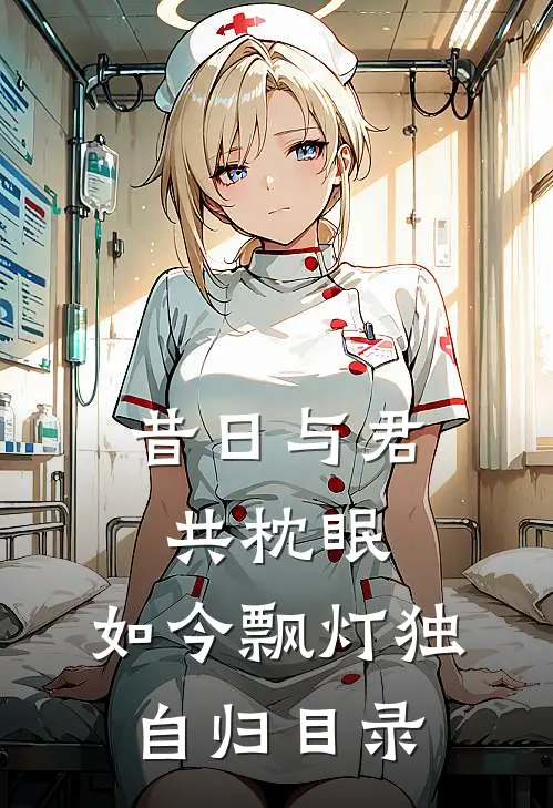 昔日与君共枕眠，如今飘灯独自归目录