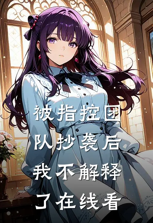 被指控团队抄袭后，我不解释了在线看