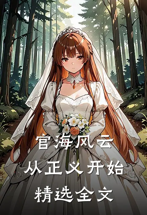 官海风云：从正义开始精选全文