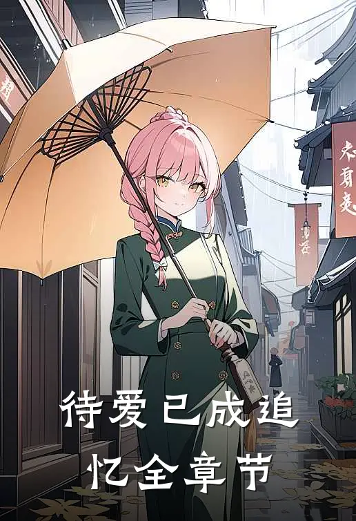 待爱已成追忆全章节