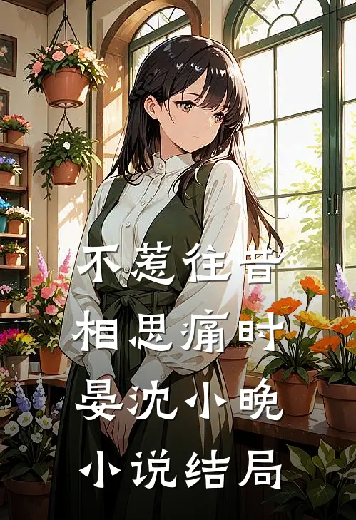 不惹往昔相思痛时晏沈小晚小说结局