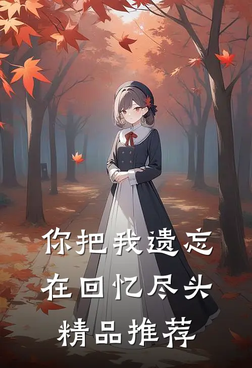 你把我遗忘在回忆尽头精品推荐