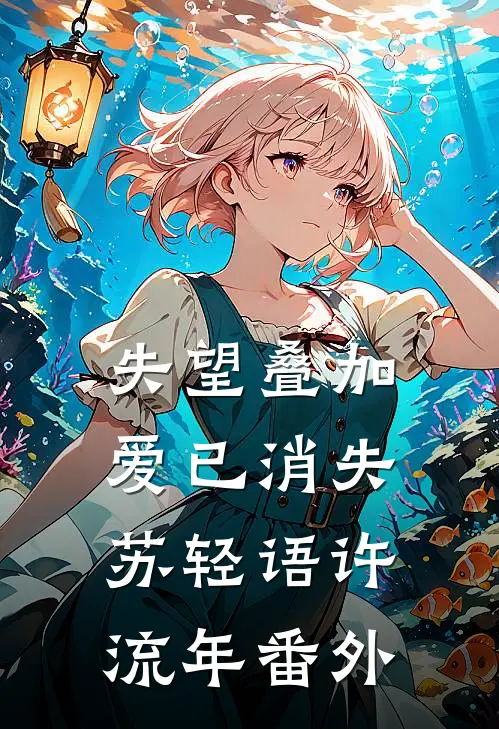 失望叠加，爱已消失苏轻语许流年 番外