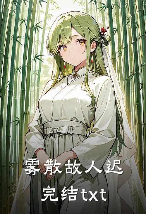 雾散故人迟完结txt