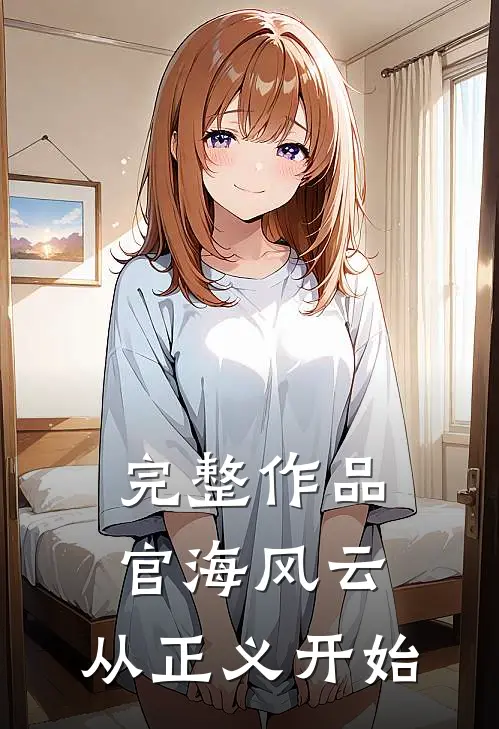 完整作品官海风云：从正义开始