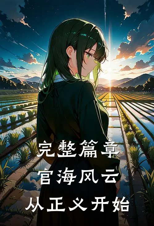 完整篇章官海风云：从正义开始