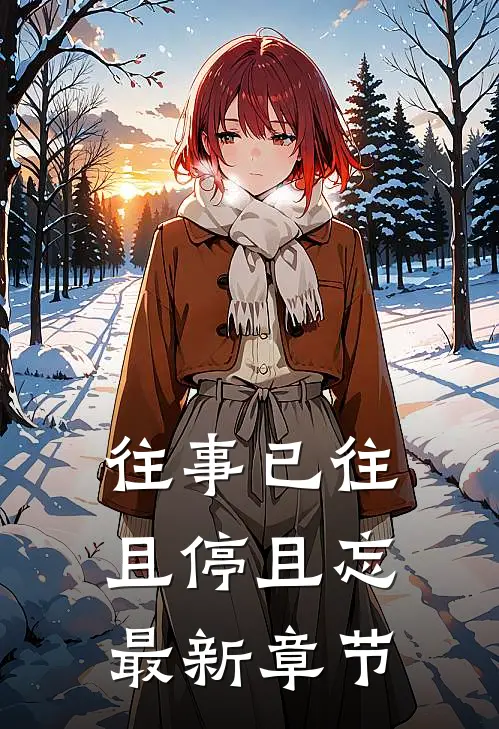 往事已往，且停且忘最新章节
